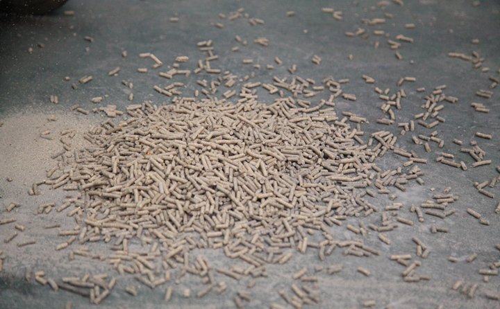 秸稈顆粒機將被代代焚燒的農(nóng)作物秸稈變成綠煤之稱的生物質(zhì)顆粒
